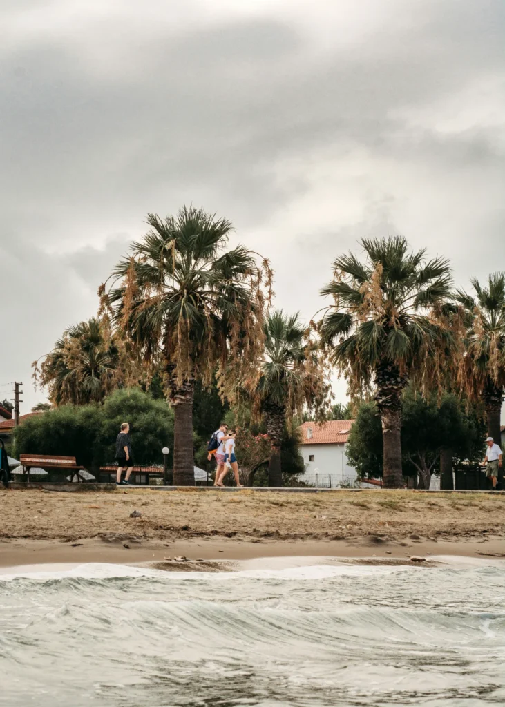 Homes for sale in Pelican Bay with beach access and coastal Naples lifestyle